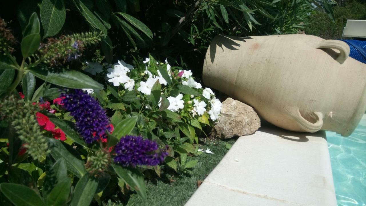 Chambres D'Hotes Les Iris Sospel Εξωτερικό φωτογραφία